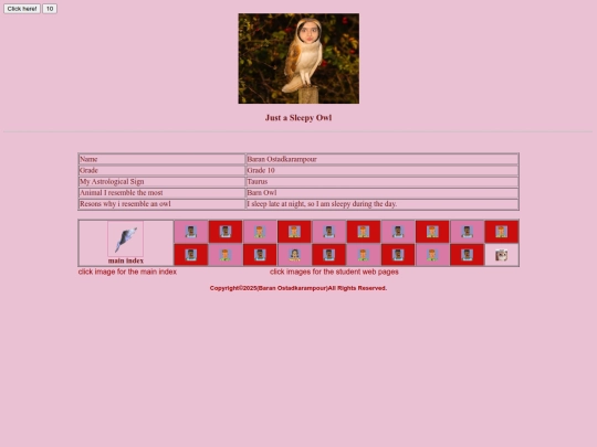 baran screenshot