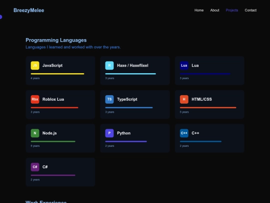projects screenshot