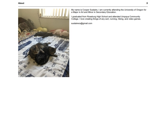 page/about screenshot