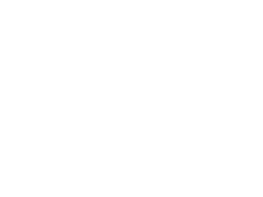 persp_dev screenshot