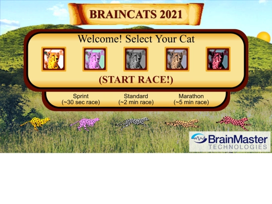 games/braincats screenshot