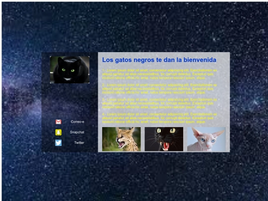 pagina_gatos screenshot