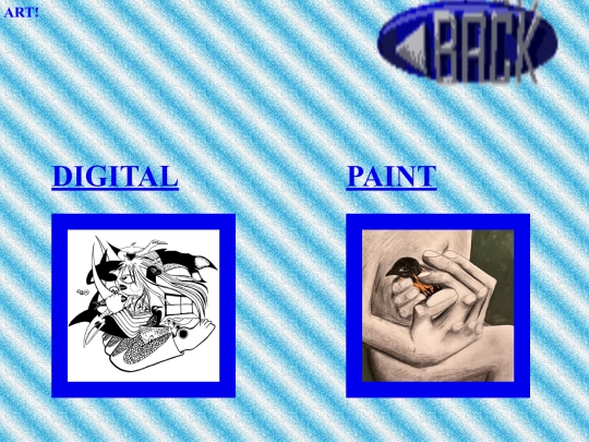 Portfolio screenshot