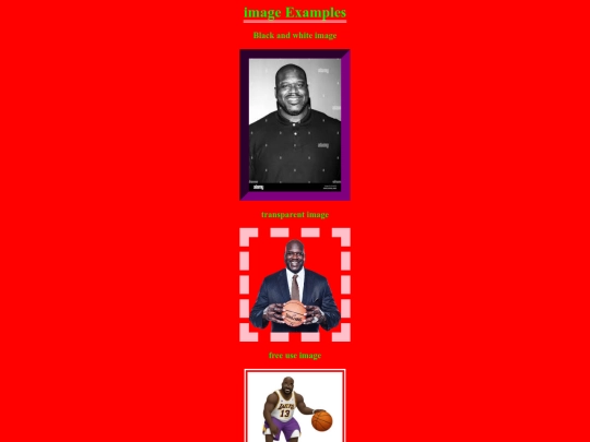 images-shaq/imageexample  screenshot