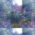 Buddleia Mix avatar