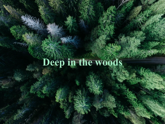 woodland screenshot