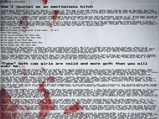 the real shit/diary screenshot