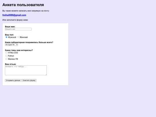 10 лаба/anketa screenshot