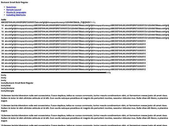 webfontkit-20220929-221042/burbanksmall-bold-demo screenshot