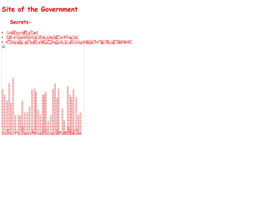 real.government/real screenshot