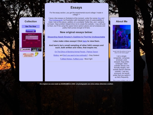 essays screenshot