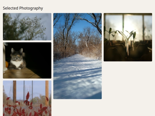 photo-portfolio screenshot