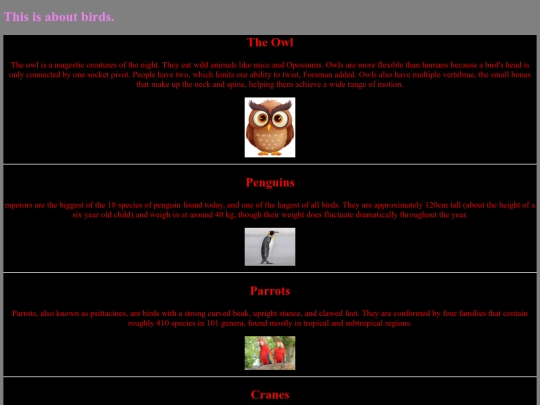 birds screenshot