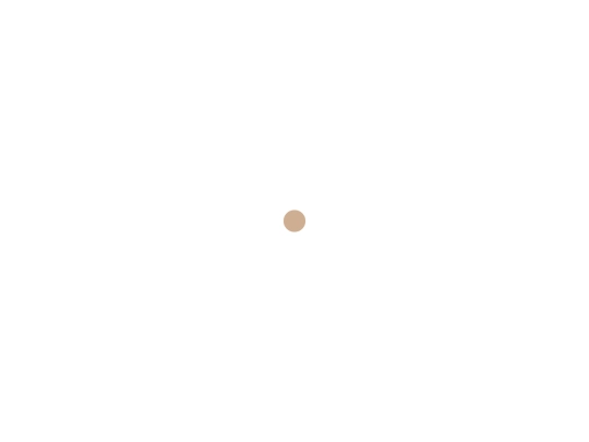 project screenshot