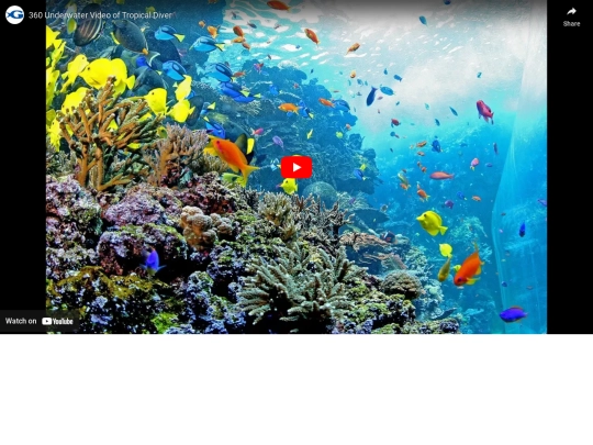 index5 screenshot