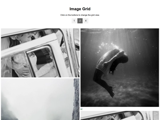 gallery screenshot