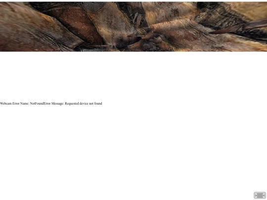 RA screenshot