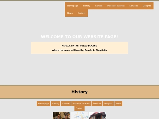 WEBSITE CODING screenshot