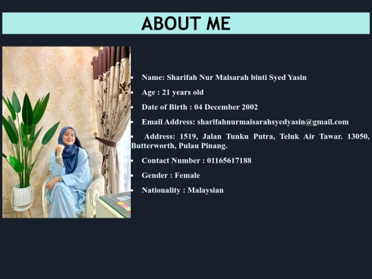 aboutme screenshot