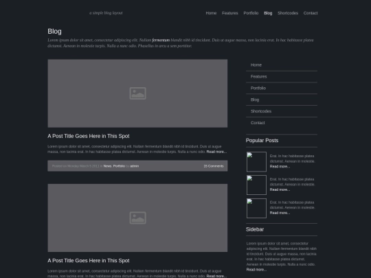 Blog screenshot