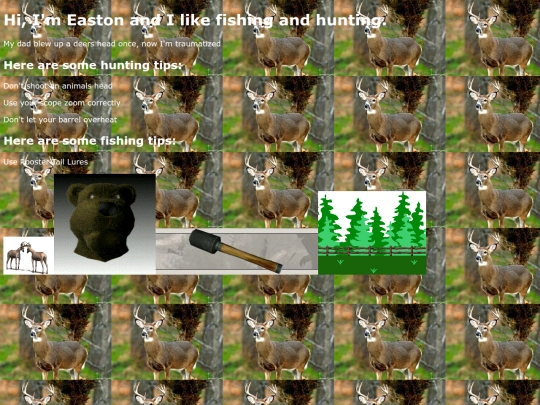 578PagosaSpringsRd screenshot