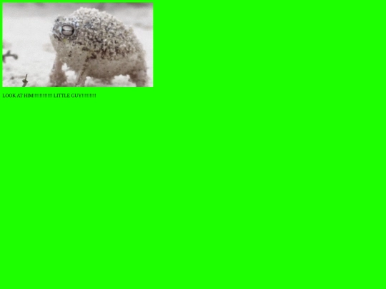 desertrainfrog screenshot