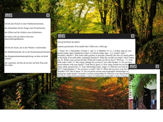 about_me screenshot
