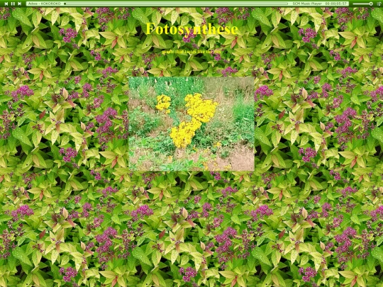 future_sites/Fotosynthese screenshot