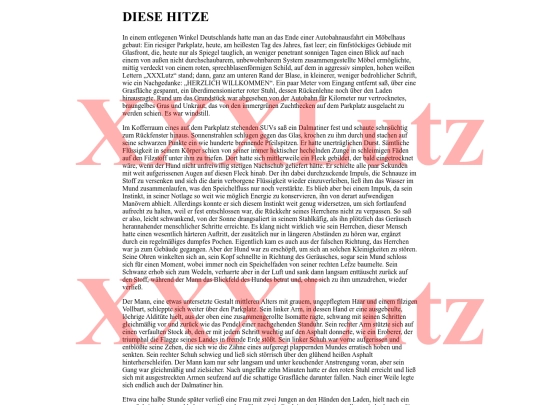 future_sites/diesehitze screenshot