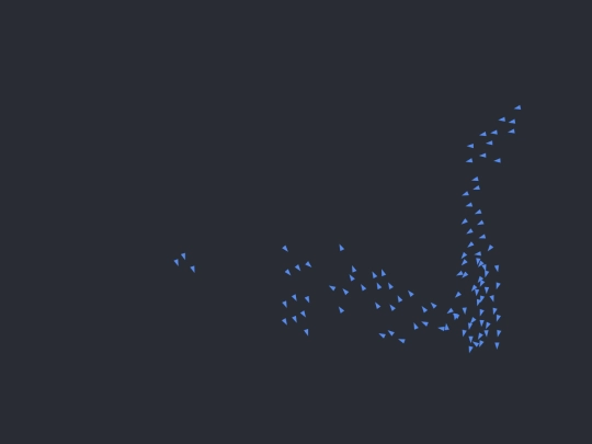 boids screenshot
