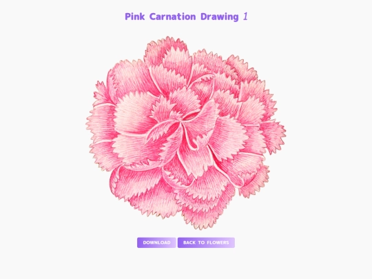 freebies/stock_images/images/carnation_art1 screenshot