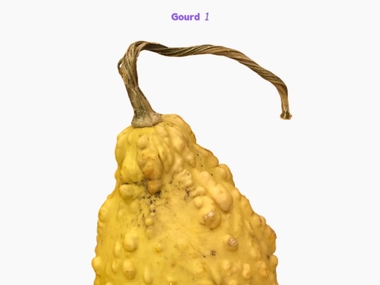 freebies/stock_images/images/gourd1 screenshot
