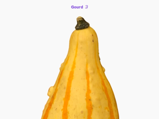 freebies/stock_images/images/gourd3 screenshot
