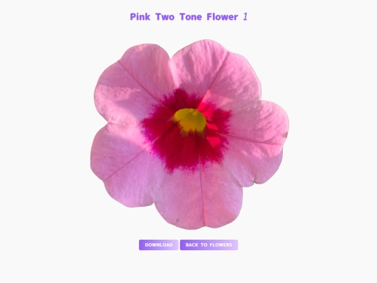 freebies/stock_images/images/pink_twotone1 screenshot
