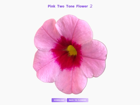 freebies/stock_images/images/pink_twotone2 screenshot