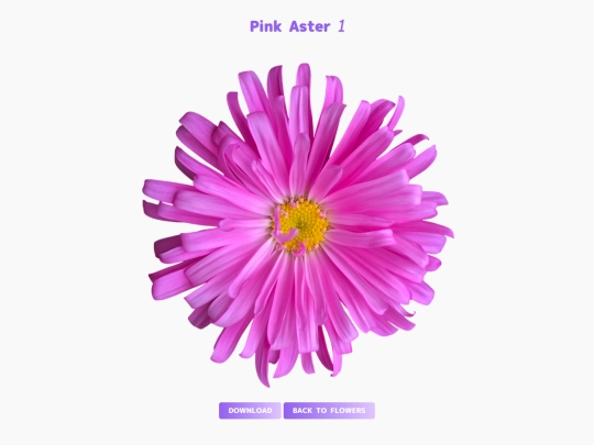 freebies/stock_images/images/pinkaster screenshot