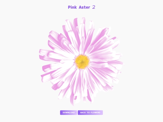 freebies/stock_images/images/pinkaster2 screenshot