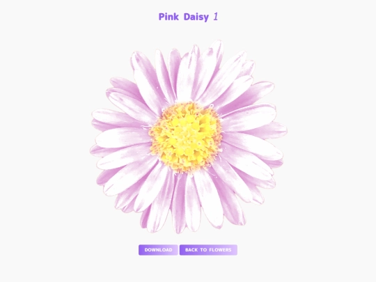 freebies/stock_images/images/pinkdaisy1 screenshot