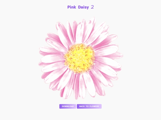 freebies/stock_images/images/pinkdaisy2 screenshot