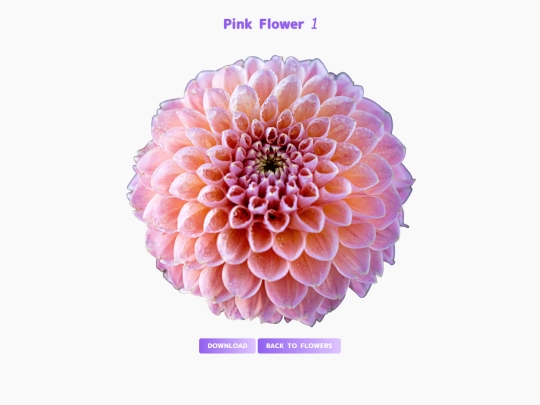 freebies/stock_images/images/pinkflower1 screenshot