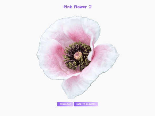 freebies/stock_images/images/pinkflower2 screenshot