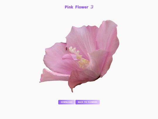 freebies/stock_images/images/pinkflower3 screenshot