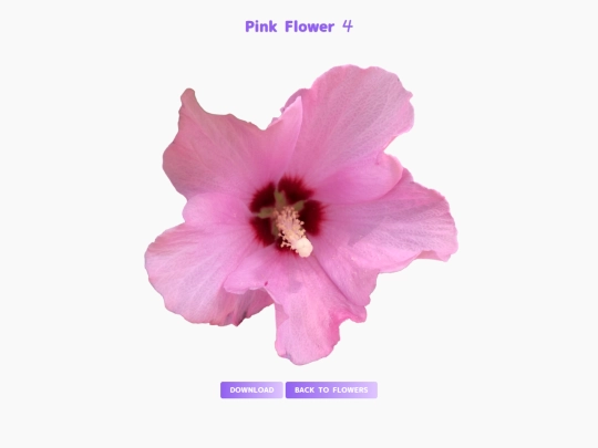freebies/stock_images/images/pinkflower4 screenshot