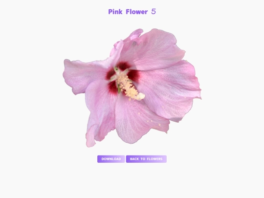 freebies/stock_images/images/pinkflower5 screenshot