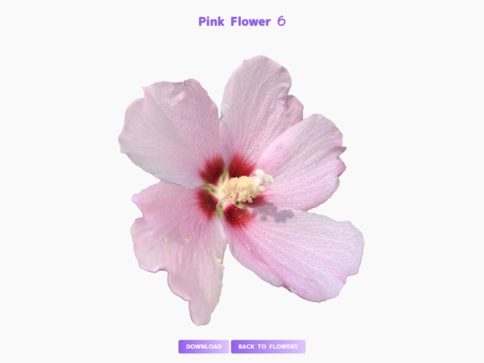 freebies/stock_images/images/pinkflower6 screenshot
