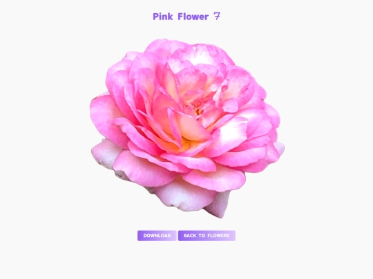 freebies/stock_images/images/pinkflower7 screenshot