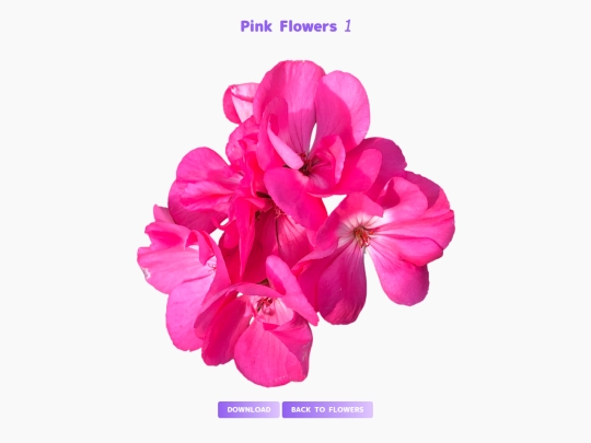 freebies/stock_images/images/pinkflowers screenshot