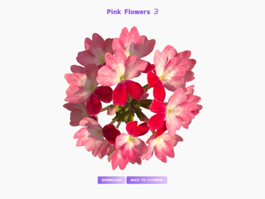 freebies/stock_images/images/pinkflowers3 screenshot