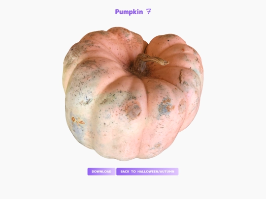 freebies/stock_images/images/pumpkin7 screenshot