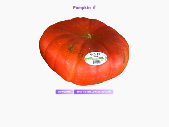 freebies/stock_images/images/pumpkin8 screenshot
